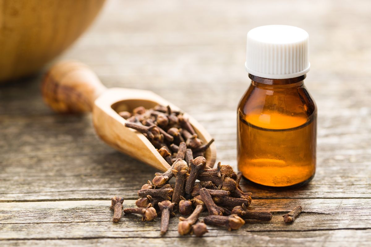 Clove Oil Toothaches