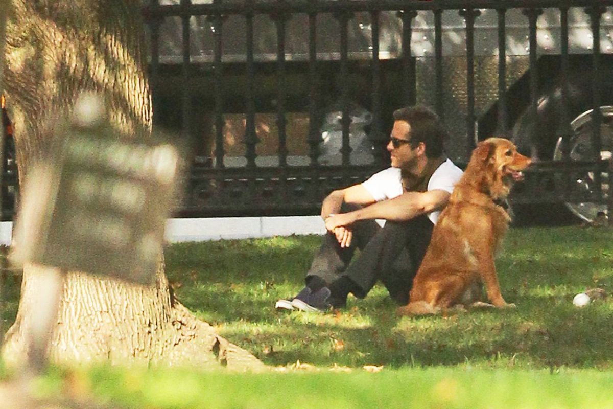 Ryan Reynolds dog Baxter