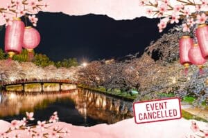 japan cherry blossom festival cancelled