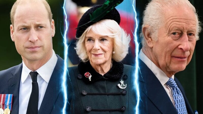 How The Prince William Queen Camilla Argument Escalated Over King Charles’s Health