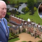 Sandringham Estate Emergency Closure